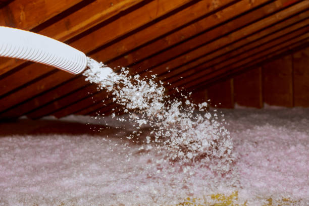 Best Geographic-Specific Insulation Services in Lamar, TX