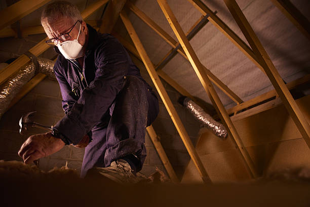 Best Fiberglass Insulation in Lamar, TX
